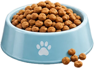 A bowl of kibble